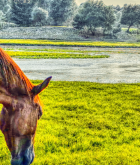 “伦” 陷一夏！库伦旗的治愈帧景