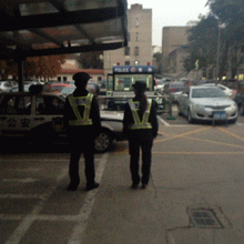 T1Ud0oXAJbXXXXXXXX_!!1123221118-1-pix.gif