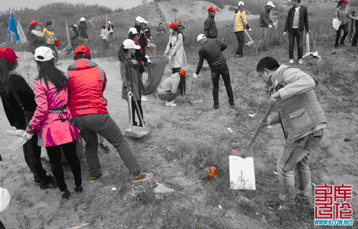 QQ截图20131024135008.gif