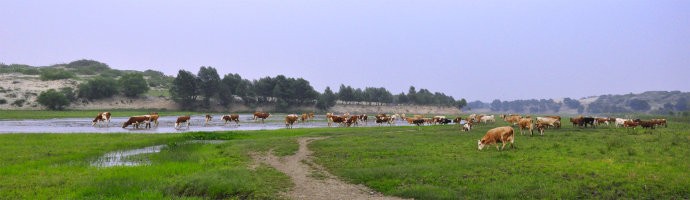 64a34af5hc386c46e302c&amp;690.jpg