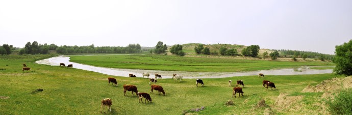 64a34af5hc386ccb9ec37&amp;690.jpg