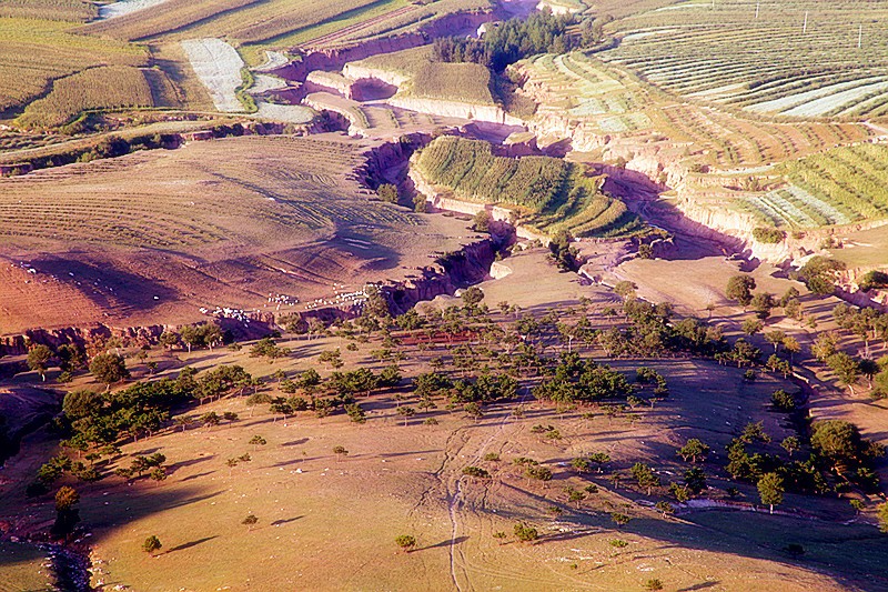 20110907_dba113ad00e90aba70fcu53fjol0hdVN.jpg