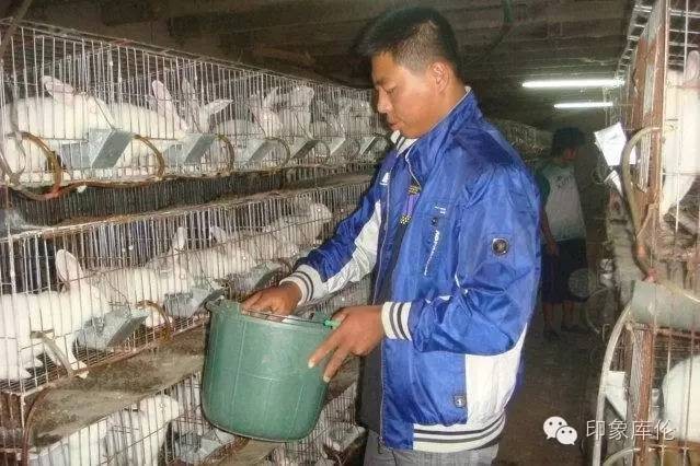 reprint_081558fktktzwuu553v4y5.jpg