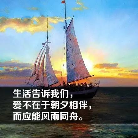 51cb5d8a6d432ef9d6e7cd3f543aa9ae.jpg