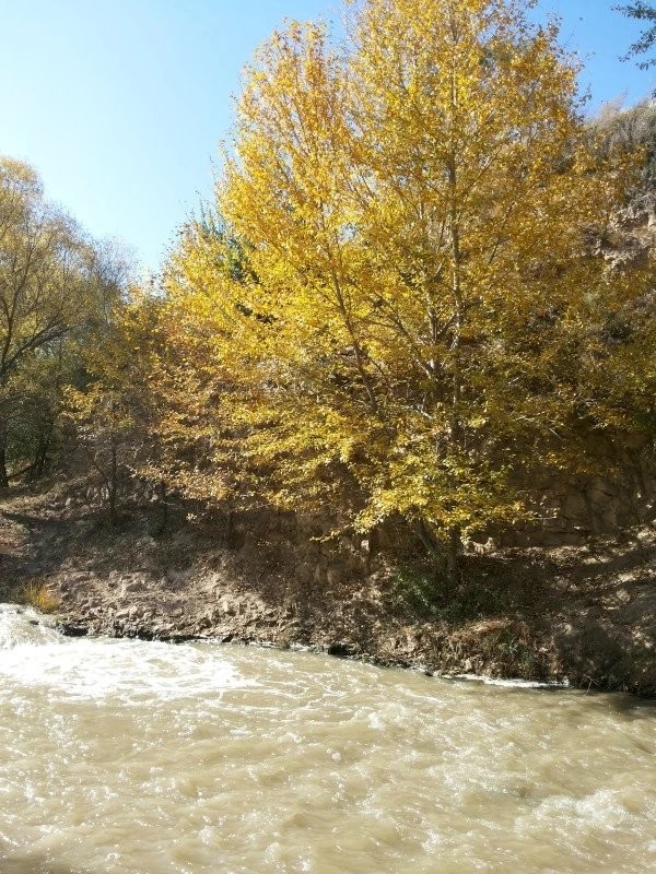 20171025_134922_016.jpg