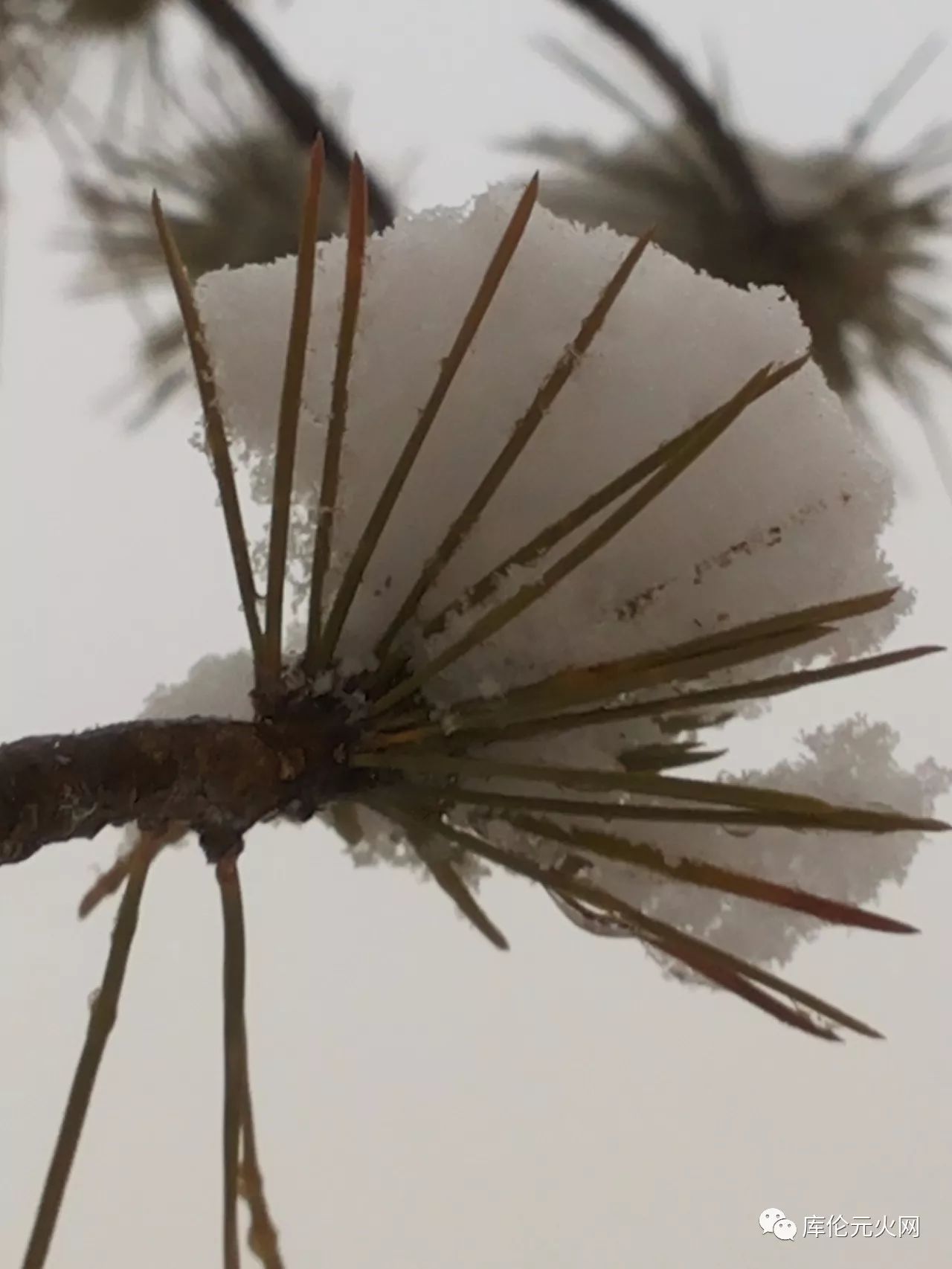 af3f4285381e5883b098327150075555.jpg
