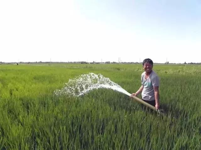 c30d0a5a8e31da03b634096e610b5530.jpg