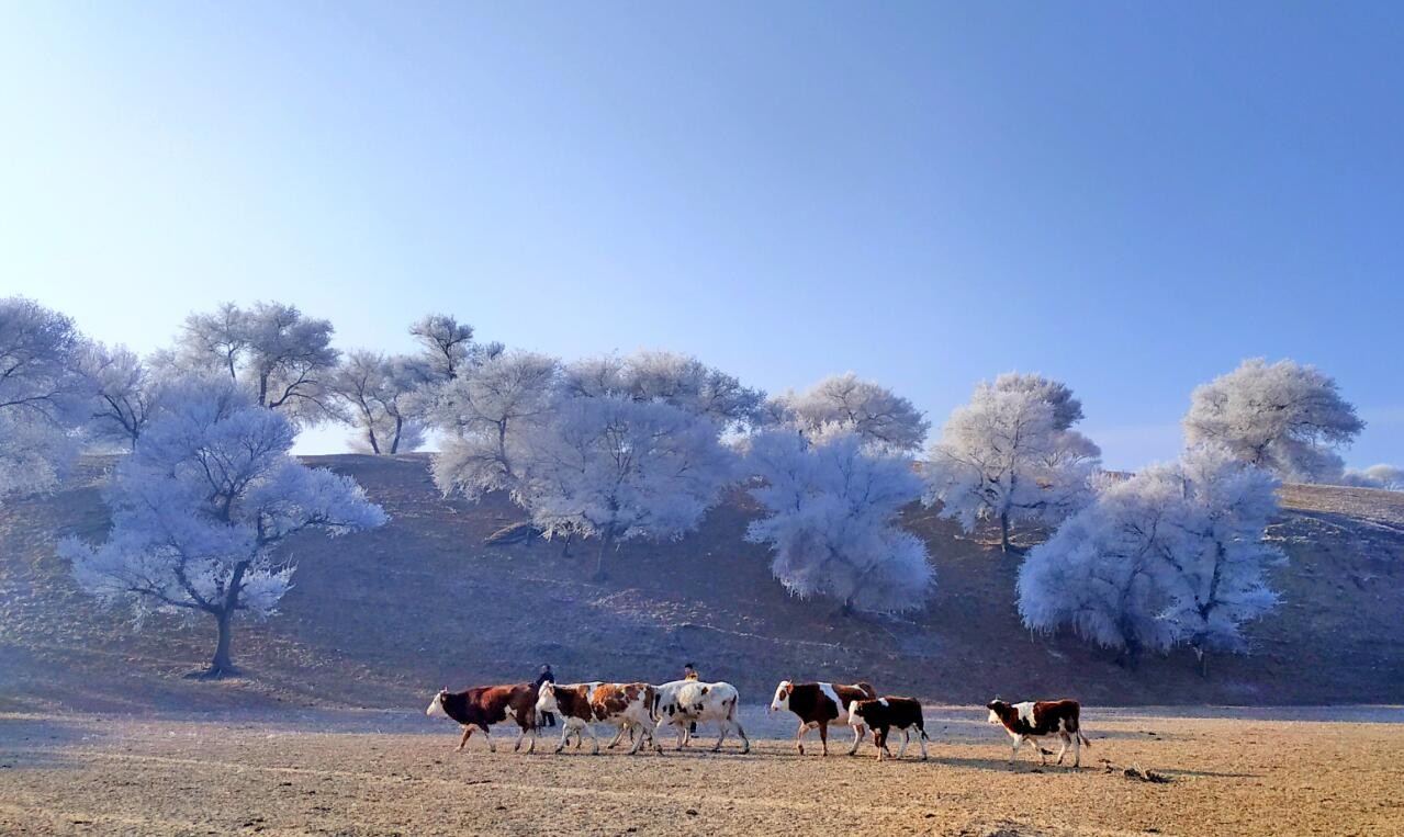 QQ截图20190112164357.jpg