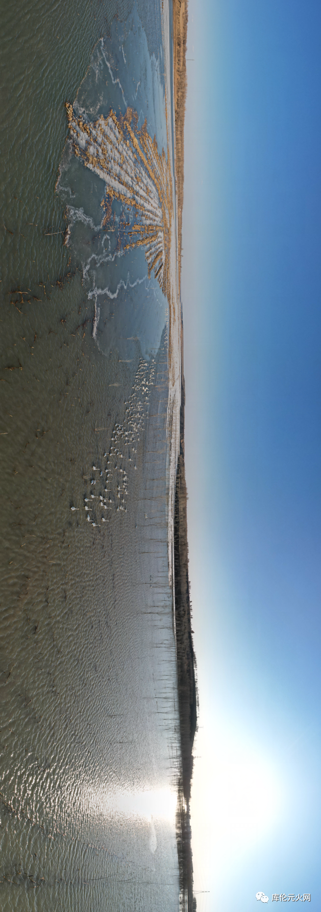 6042ff55f23f8ca5179930df51cd0a01.png