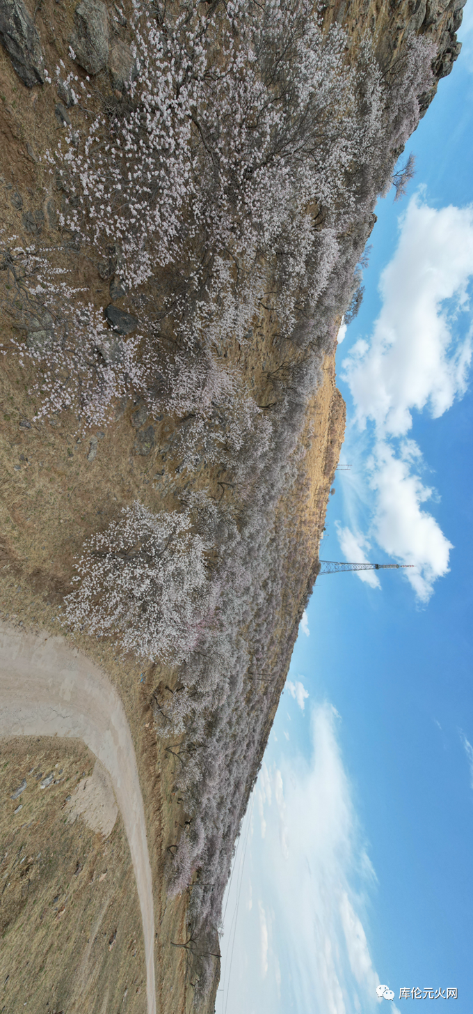 27cfe48f80b246823b69d3c2580f41b0.png