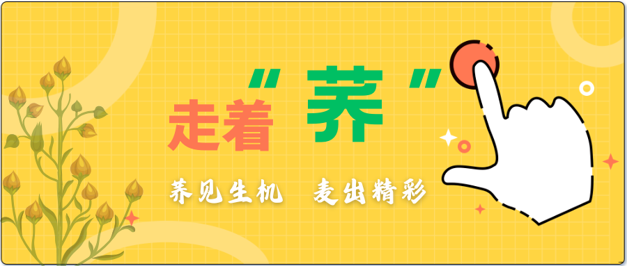 3b2aaf7a80dd9cff6fedcf1e06401d50.png