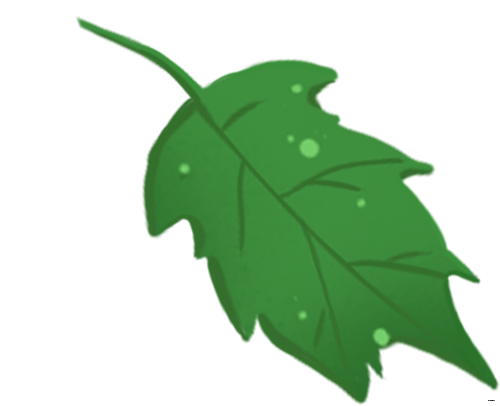 8b7adf85356928a2a55ee89c280c21e5.png