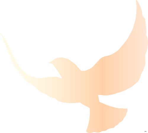 73ffcebb779190295711df8a2887c72c.png