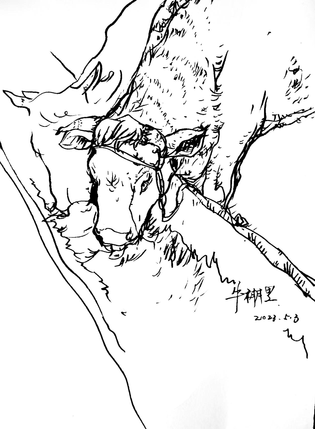 209b24371a7549cf3240d221a84b2b10.png