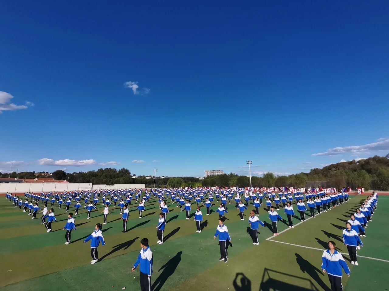 b9564e08fd92bb96914ff2c3822cf3eb.jpg
