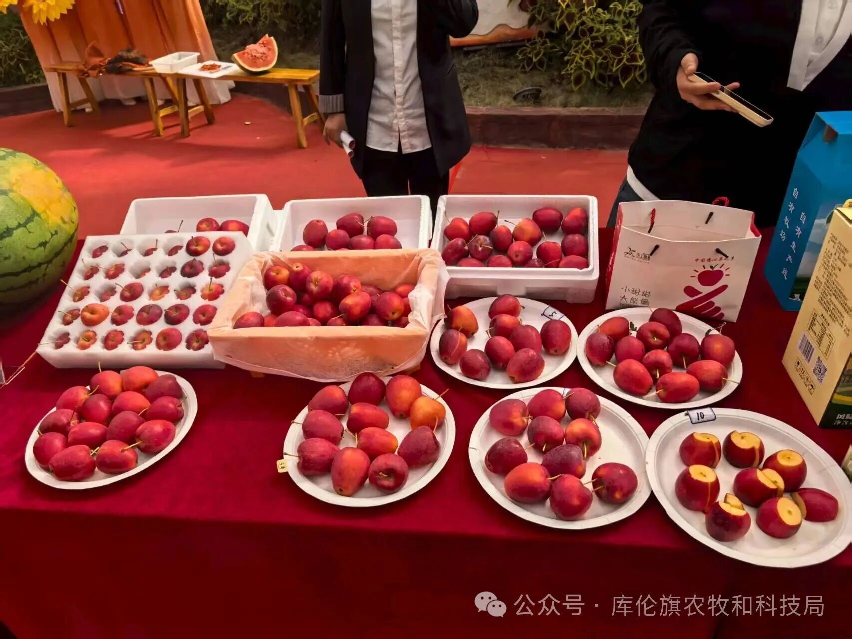 9d5ff5d715c61bfb25d94fbb1b2b165a.jpg
